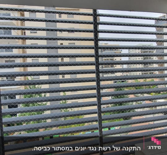רשת מתכת על חלון למניעת כניסת יונים